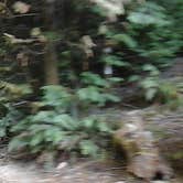 Review photo of Elko Dispersed Camping by Jacky S., September 10, 2016