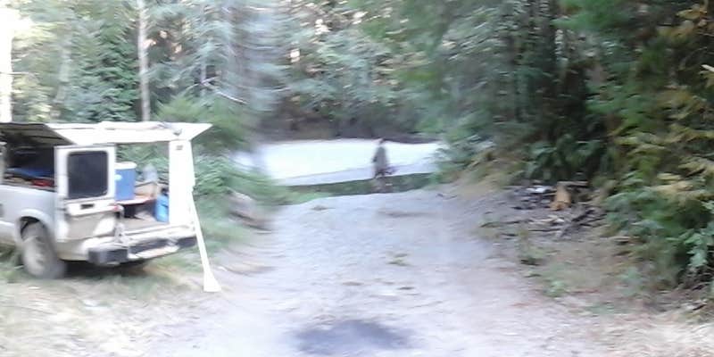 Camper submitted image from Elko Dispersed Camping