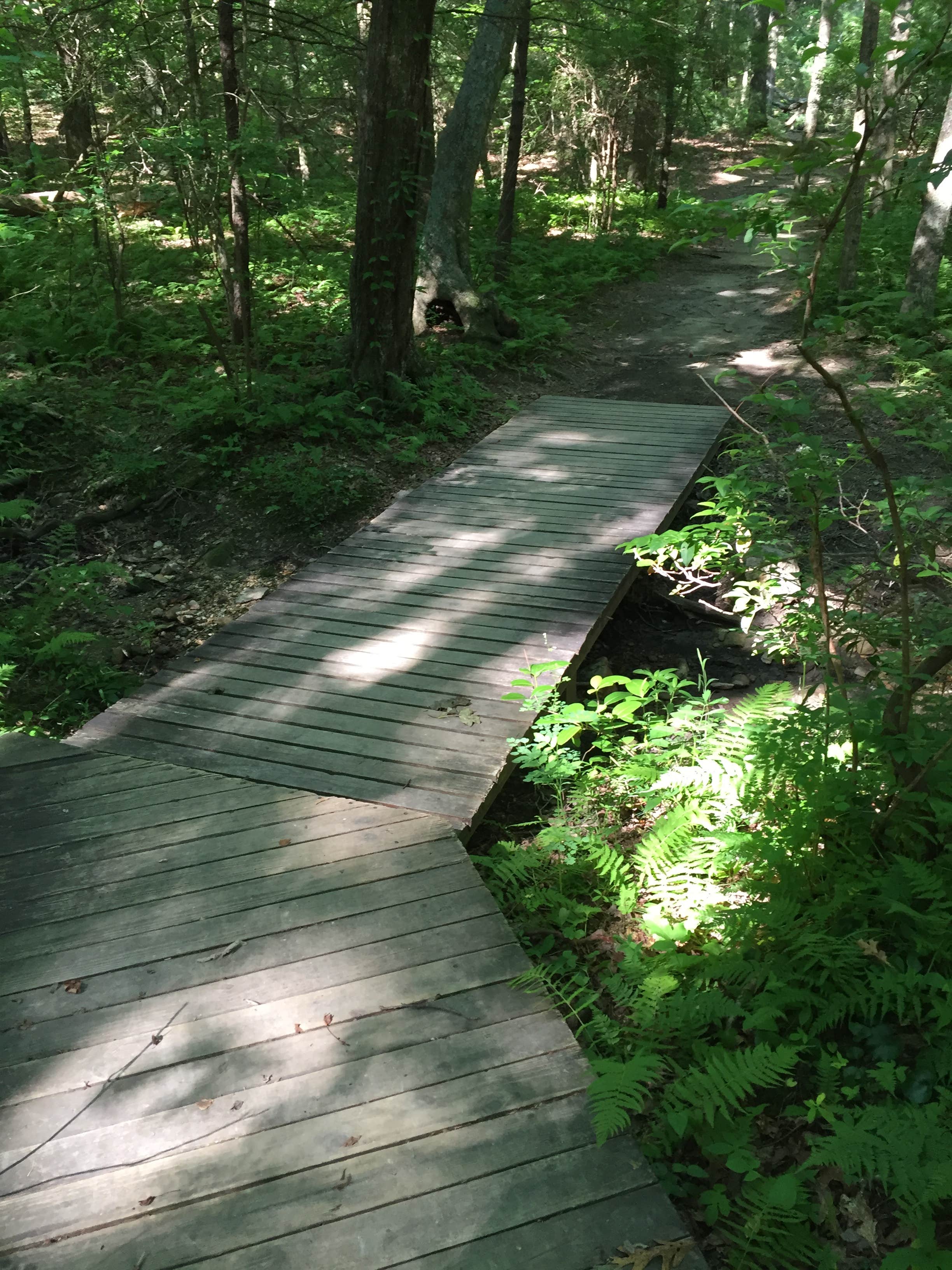Camper submitted image from Fort Mountain State Park Campground - 2