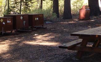 The Dyrt's photo at Agnew Meadows Group Camp near Devils Postpile National Monument
