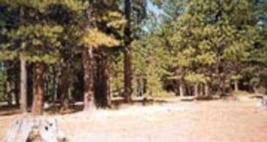 Almanor