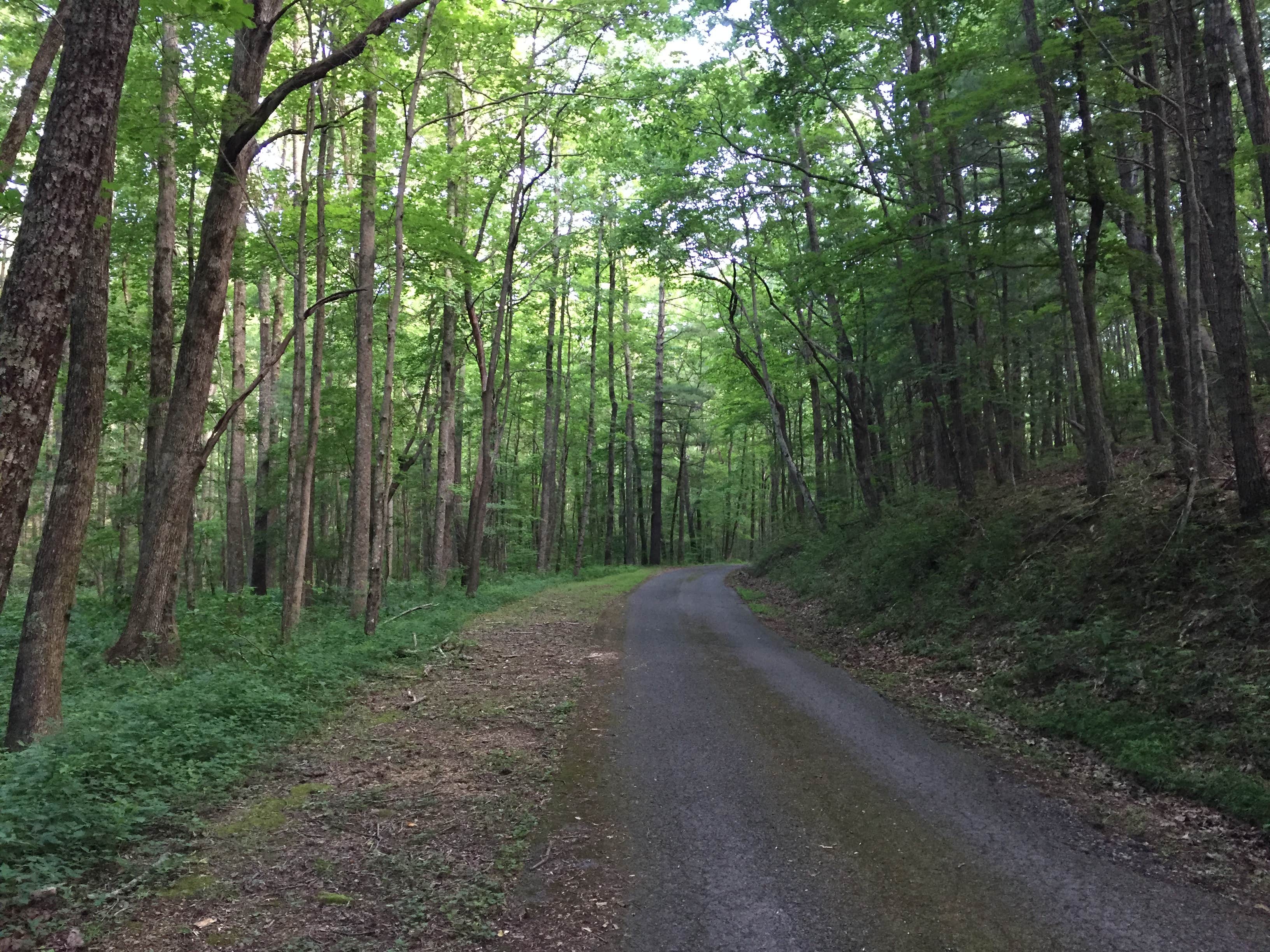 Camper submitted image from Fort Mountain State Park Campground - 3