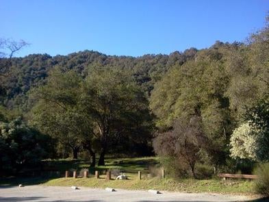 Camper submitted image from Arroyo Seco - 2