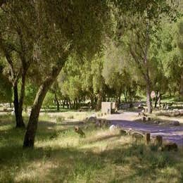 Public Campgrounds: Arroyo Seco