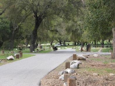 Camper submitted image from Arroyo Seco - 3