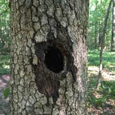 Review photo of Fort Mountain State Park Campground by Marvin F., September 10, 2016