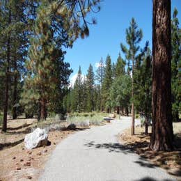 Public Campgrounds: Barton Flats Family Campground