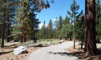 Camping near Limber Pine Campground - TEMPORARILY CLOSED: Barton Flats Family Campground, Big Bear Lake, California