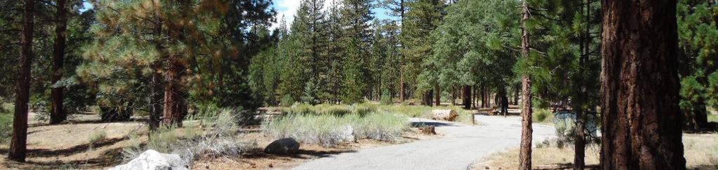 Camper submitted image from Barton Flats Family Campground - 4
