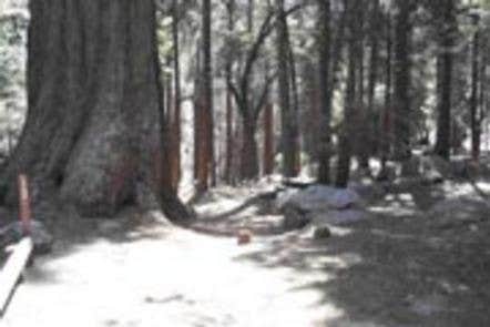 Camper submitted image from Sequoia National Forest Belknap Campground - 2