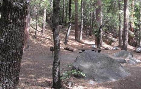 Camper submitted image from Sequoia National Forest Belknap Campground - 5