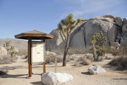 Camper-submitted photo at Belle Campground — Joshua Tree National Park near Bermuda Dunes, CA