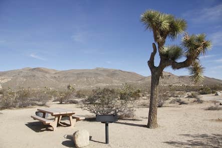 Camper submitted image from Belle Campground — Joshua Tree National Park - 1