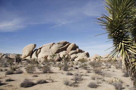 Camper-submitted photo at Belle Campground — Joshua Tree National Park near Bermuda Dunes, CA