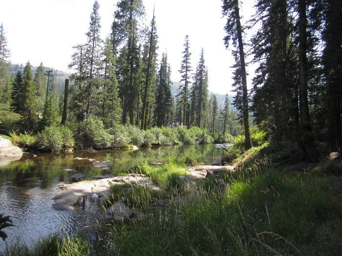 Camper submitted image from Big Bend Group (Yuba River) - 3