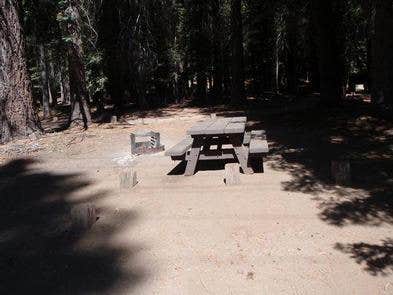 Camper submitted image from Lower Billy Creek - 1