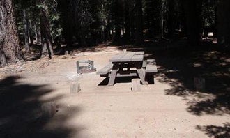 Camping near Rock Creek (sierra Natl Fores): Lower Billy Creek, Big Creek, California