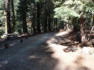 Camper submitted image from Upper Billy Creek Campground - 3