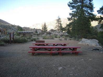 Camper submitted image from Bishop Park Group (Ca) — Inyo National Forest - 1