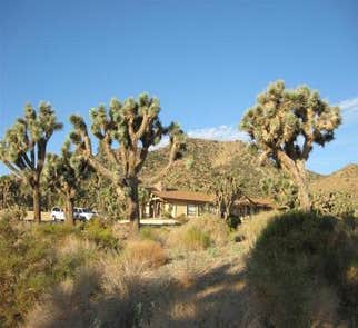 Camper-submitted photo from Black Rock Campground — Joshua Tree National Park