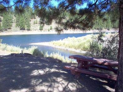 Camper submitted image from Boca Rest Campground - 2