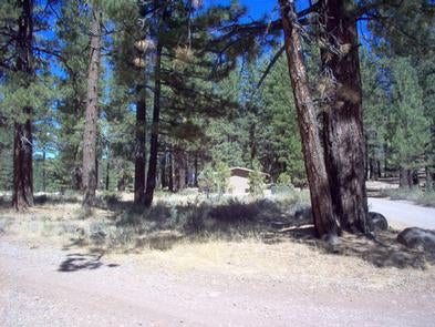 Camper submitted image from Tahoe National Forest Boca Spring Campground - 2