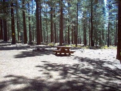 Camper submitted image from Tahoe National Forest Boca Spring Campground - 3