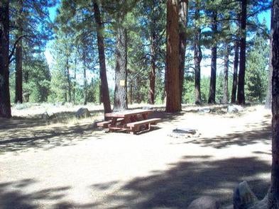 Camper submitted image from Tahoe National Forest Boca Spring Campground - 1