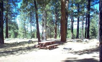 Camping near Boyington Mill: Tahoe National Forest Boca Spring Campground, Floriston, California