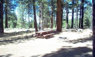 Camping near Truckee River RV Park: Tahoe National Forest Boca Spring Campground, Floriston, California