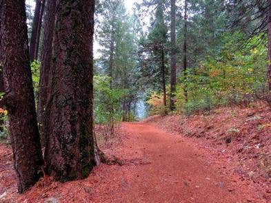 Camper submitted image from Bridal Veil Group Area And Picnic Ground - 4