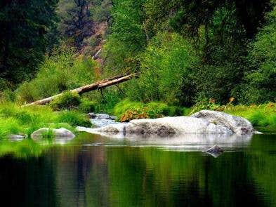 Camper submitted image from Bridal Veil Group Area And Picnic Ground - 3