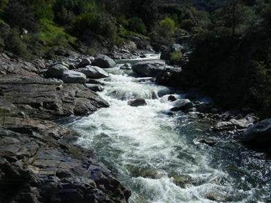 Camper submitted image from Buckeye Flat Campground — Sequoia National Park - 3