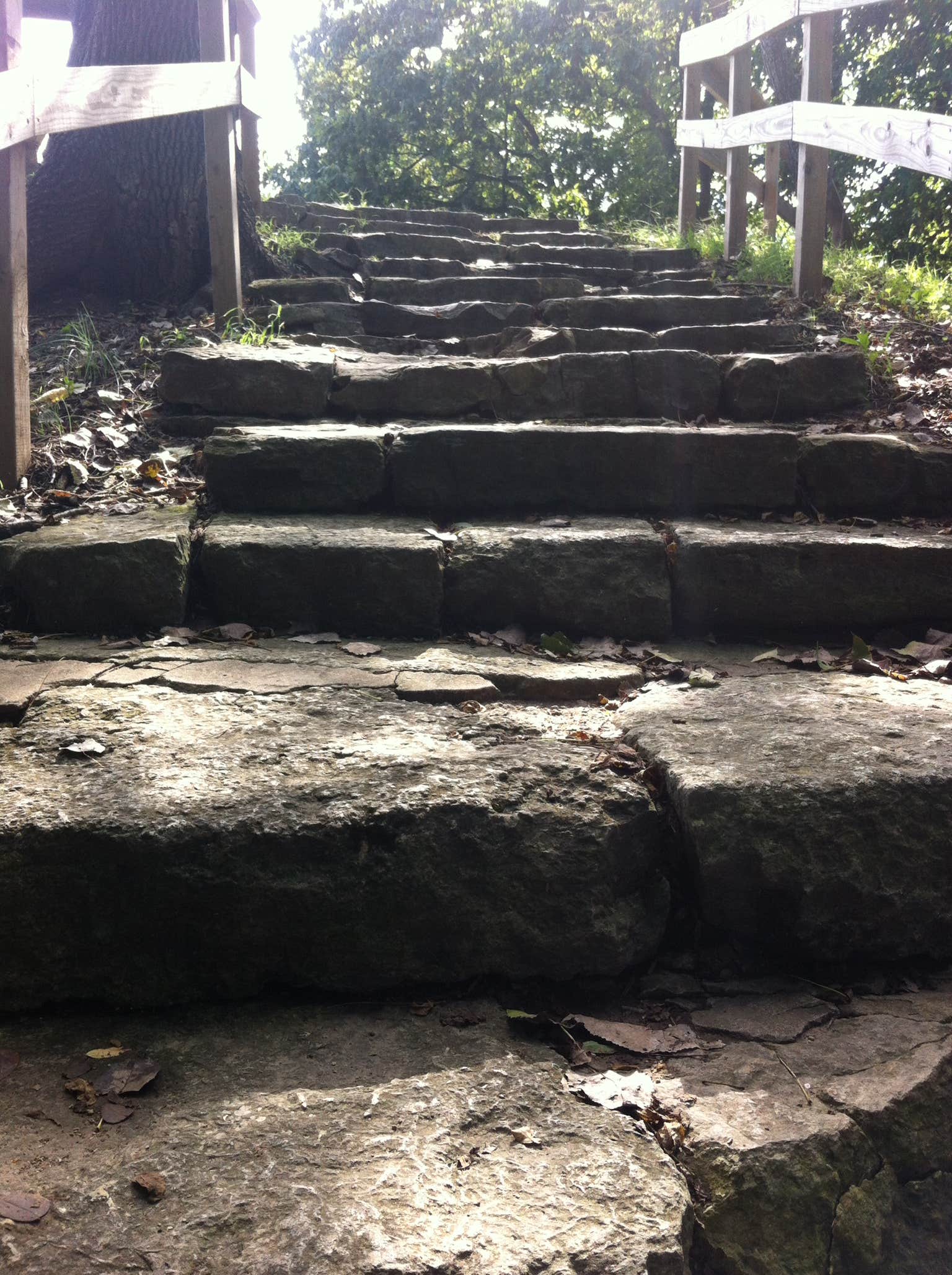 Camper-submitted photo at Pere Marquette State Park Campground near Normandy, MO