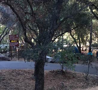 Camper-submitted photo from Buckeye Flat Campground — Sequoia National Park