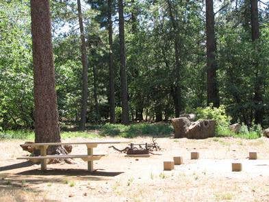 Camper submitted image from Burnt Rancheria Campground - 4