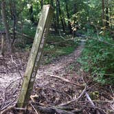 Review photo of Pere Marquette State Park Campground by Annie C., September 11, 2016
