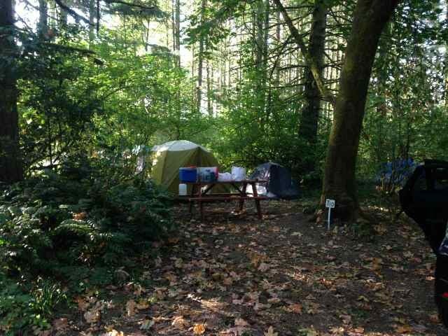 Camper submitted image from Big Fir Campground & RV Park - 4