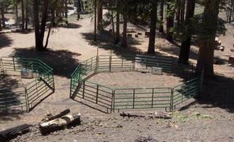 Camping near Butte Creek Campground: Butte Lake Campground — Lassen Volcanic National Park, Old Station, California