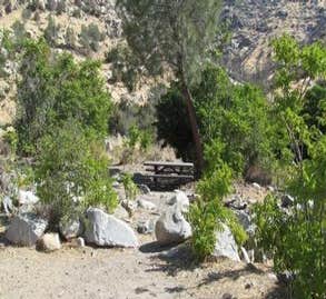 Camper-submitted photo from Kern River County Park