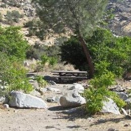 Public Campgrounds: Camp Three Campground