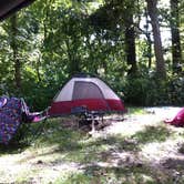 Review photo of Pere Marquette State Park Campground by Annie C., September 11, 2016