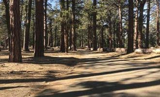 Camping near Bethany Pines: Campo Alto Campground, Pine Mountain Club, California