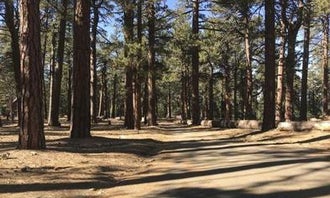 Camping near Smith Forks Campground — Hungry Valley State Vehicular Recreation Area: Campo Alto Campground, Pine Mountain Club, California