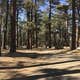 Campo Alto Campground