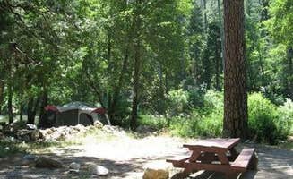 The Dyrt's photo at Carlton near Alleghany, CA