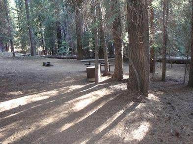 Camper submitted image from Sierra National Forest Catavee Campground - 2