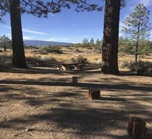 Camper-submitted photo from Chula Vista Campground at Mt. Pinos