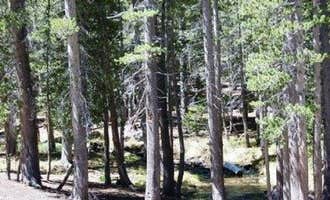 Camping near Lake Mary Campground: Coldwater Campground, Mammoth Lakes, California