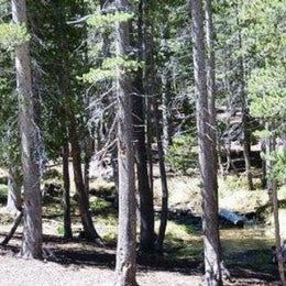 Public Campgrounds: Coldwater Campground